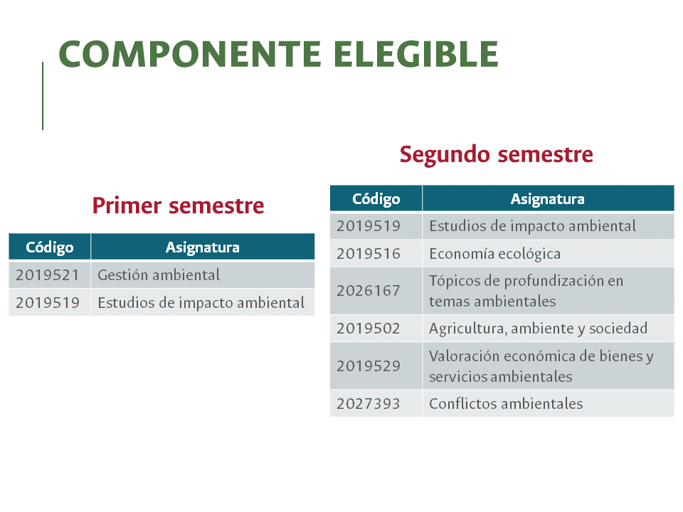 PMAD - Profundización - Componente elegible